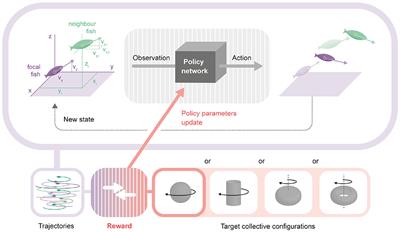 Automated Discovery of Local Rules for Desired Collective-Level Behavior Through Reinforcement Learning